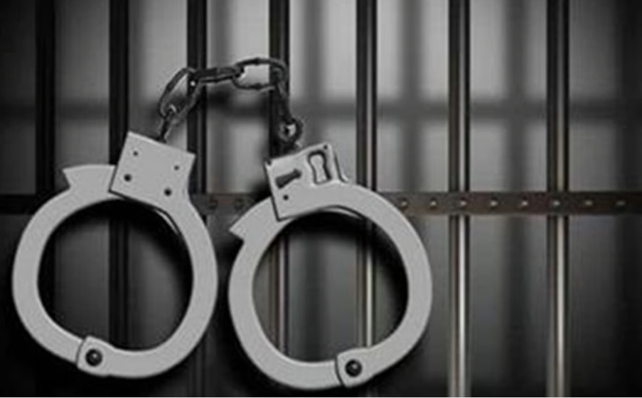الجهات الأمنية تحبط تهريب أكثر من 350 كيلوجرامًا من القات وتضبط 13 مخالفًا