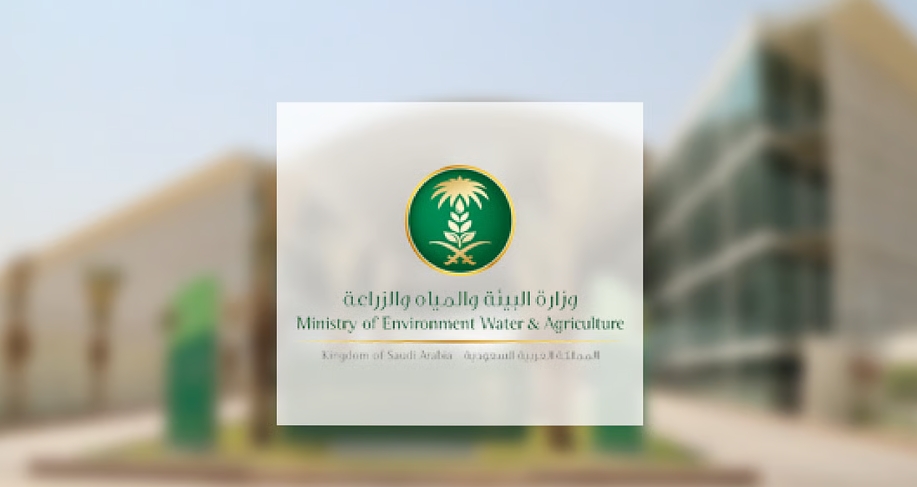 "البيئة" تُعلن اشتراطات تعبئة وتغليف الخضار والفواكه لضمان جودة وسلامة المنتجات الغذائية