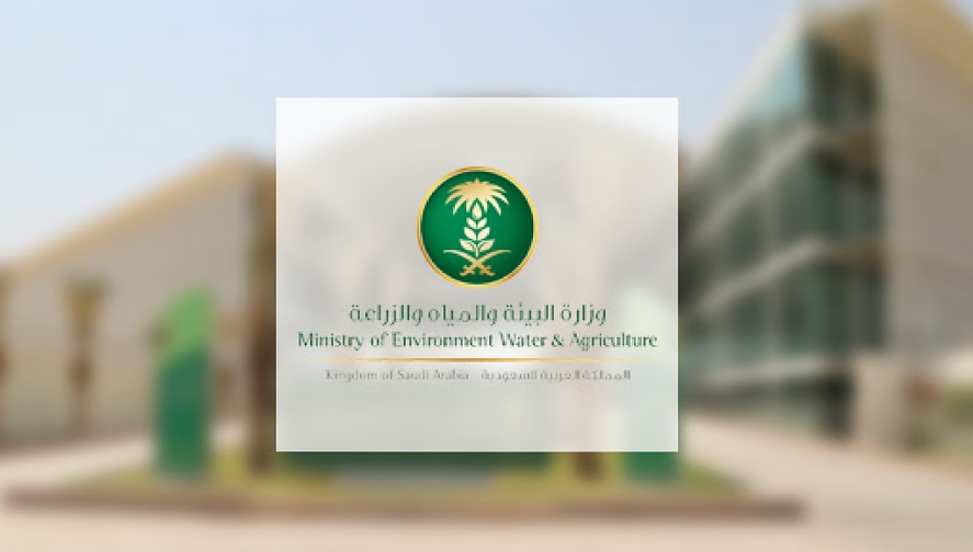 "البيئة": إنتاج السلع الزراعية والغذائية يتجاوز 16 مليون طن "البيئة": إنتاج السلع الزراعية والغذائية يتجاوز 16 مليون طن