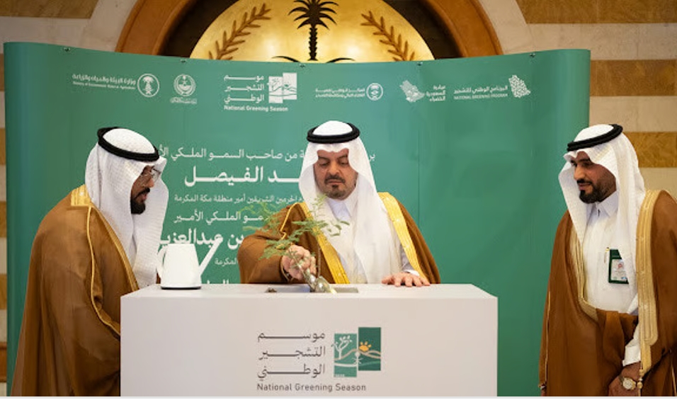 برعاية أمير مكة.. الأمير سعود بن مشعل يدشّن فعاليات موسم التشجير الوطني بزراعة شجرة الرَّنَف المحلية برعاية أمير مكة.. الأمير سعود بن مشعل يدشّن فعاليات موسم التشجير الوطني بزراعة شجرة الرَّنَف المحلية