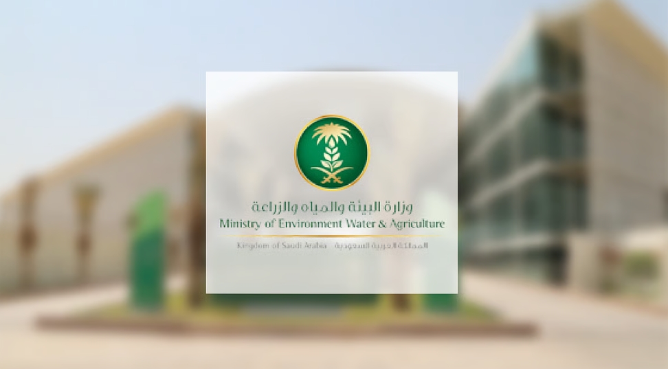 رسميًا.. "البيئة" تبدأ استقبال طلبات رخص زراعة القمح لموسم 1447–1448هـ