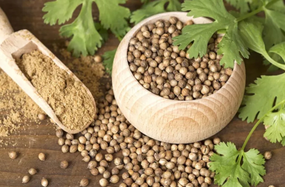 إطلاق خدمة إصدار رخصة بيع البذور والتقاوي عبر "نما"