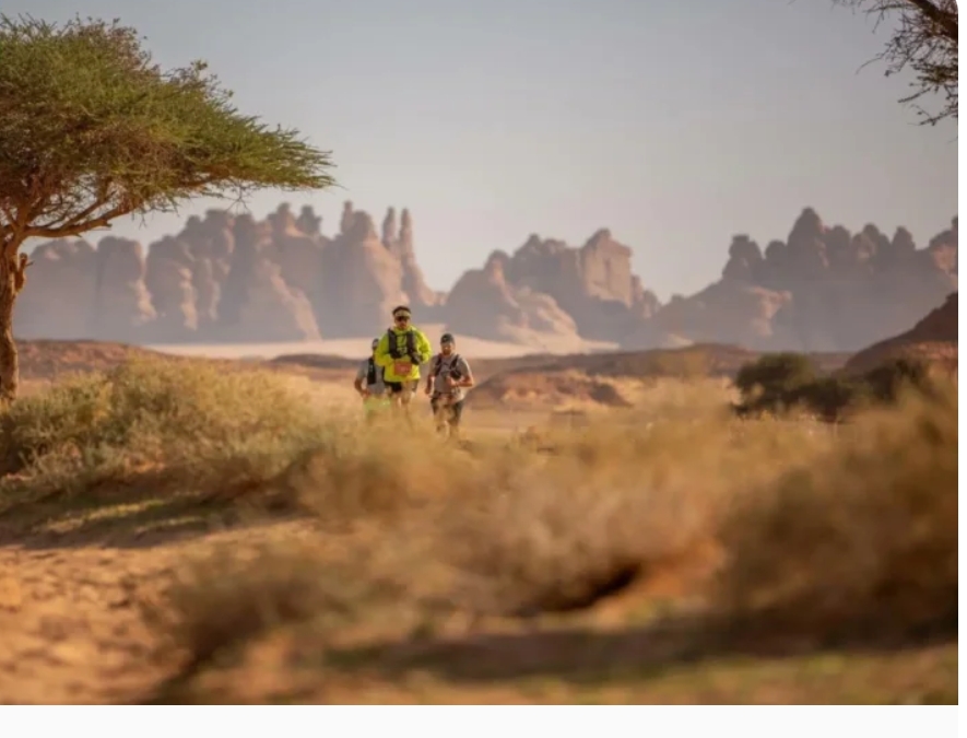 رفع الإيقاف عن بيع وشراء الأراضي والعقارات وسط وجنوب العلا