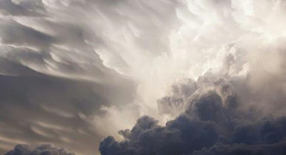 "الأرصاد" يُنذر 8 مناطق بموجة ضباب وأتربة مثارة تقلّص الرؤية