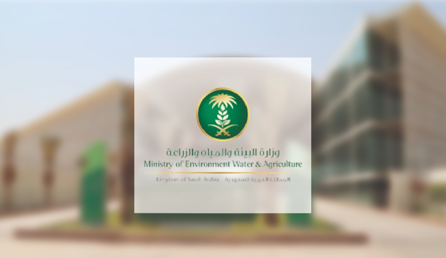 البيئة تطرح فرصاً استثمارية نوعية بمتنزهات ومشاتل مكة لدعم السياحة البيئية والأمن الغذائي