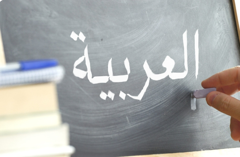 تشمل 8 مبادئ .. اعتماد السياسة الوطنية للغة العربية