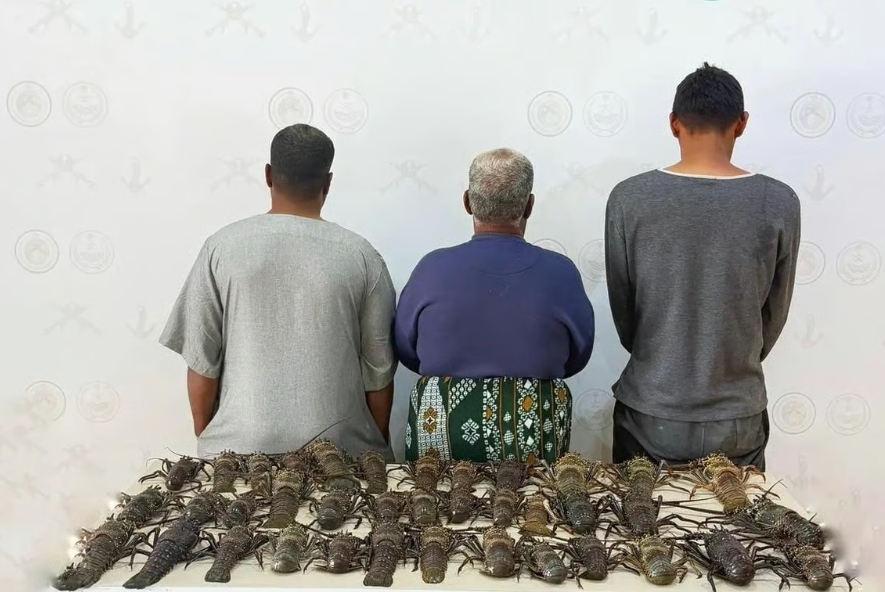 حرس الحدود بينبع يضبط مواطنين ومقيمًا فلبينيًا لصيدهم دون تصريح ومخالفة لائحة الأمن والسلامة البحرية