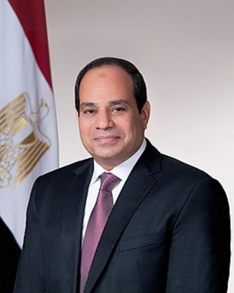 قرار للرئيس المصري على الهواء مباشرة: من يتزوج ليس له بطاقة تموين