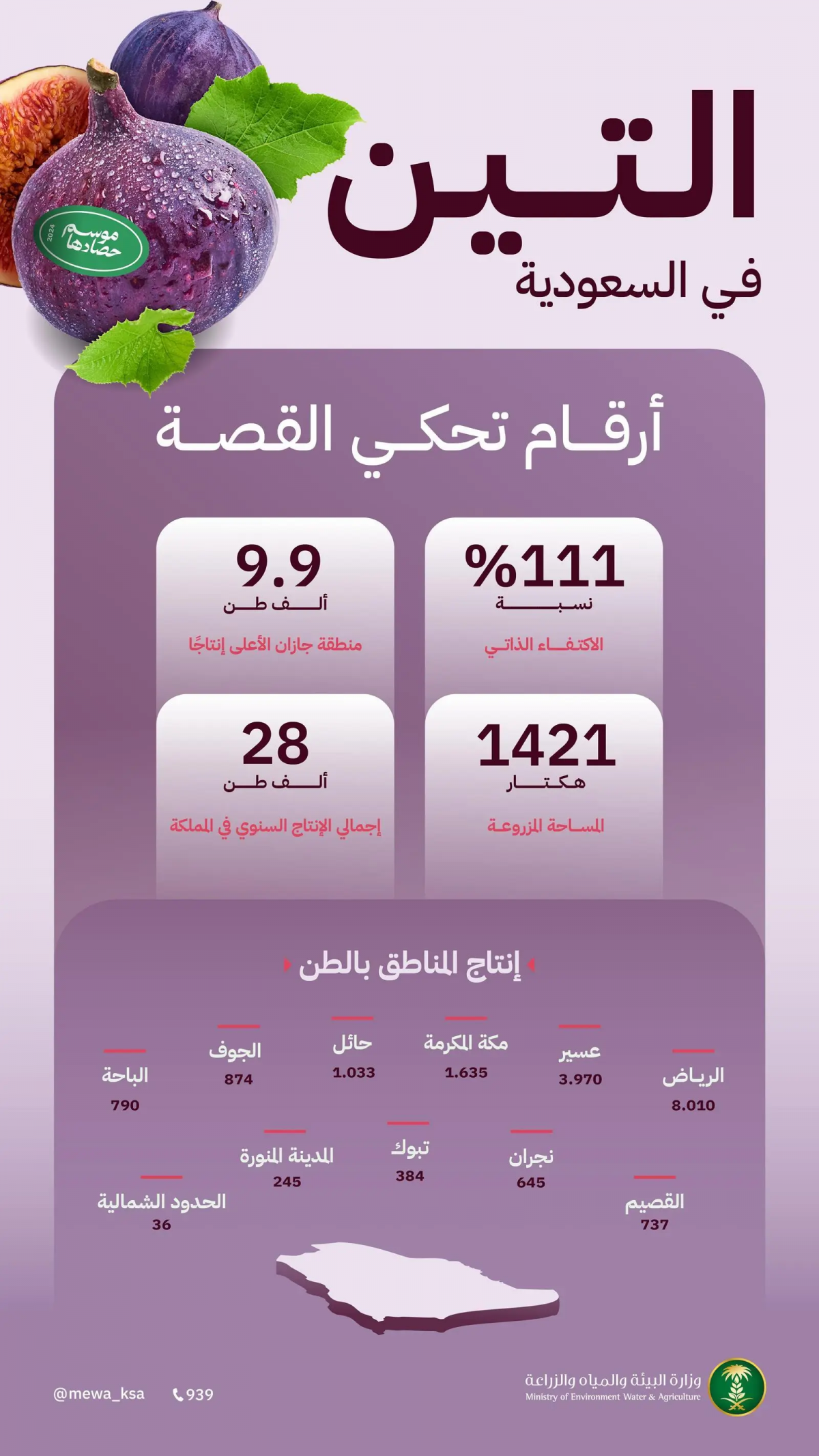 "البيئة": المملكة تحقق الاكتفاء الذاتي من التين بنسبة 111% وجازان والرياض تتصدران بإنتاج 10 آلاف و8 آلاف طن سنويًا "البيئة": المملكة تحقق الاكتفاء الذاتي من التين بنسبة 111% وجازان والرياض تتصدران بإنتاج 10 آلاف و8 آلاف طن سنويًا