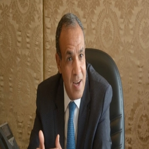 مصر.. عبد العاطي يعلن عن لجنة إدارية ستتولى إدارة غزة 6 أشهر