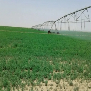 "البيئة" تربط 213 مزرعة بالشبكة الكهربائية