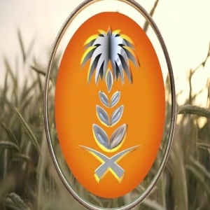 الهيئة العامة للأمن الغذائي تطرح المناقصة السادسة لهذا العام لاستيراد 300 ألف طن قمح