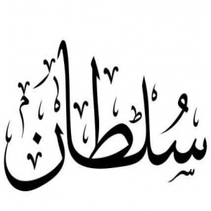 (( سلطان في منزل وليد ))