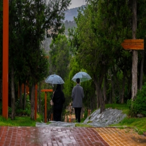 توقعات بأمطار على المرتفعات الجنوبية الغربية